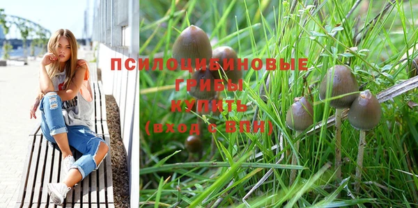 экстази Алексеевка