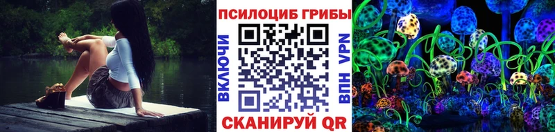 Купить где  Шебекино  Псилоцибиновые грибы мицелий 