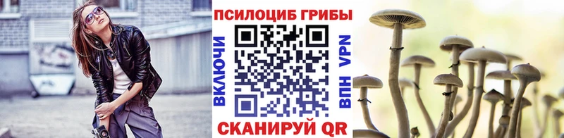 Псилоцибиновые грибы GOLDEN TEACHER Шебекино